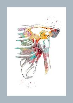 Βελτίωση της μικροκυκλοφορίας στους ιστούς των αρθρώσεων και των μυών